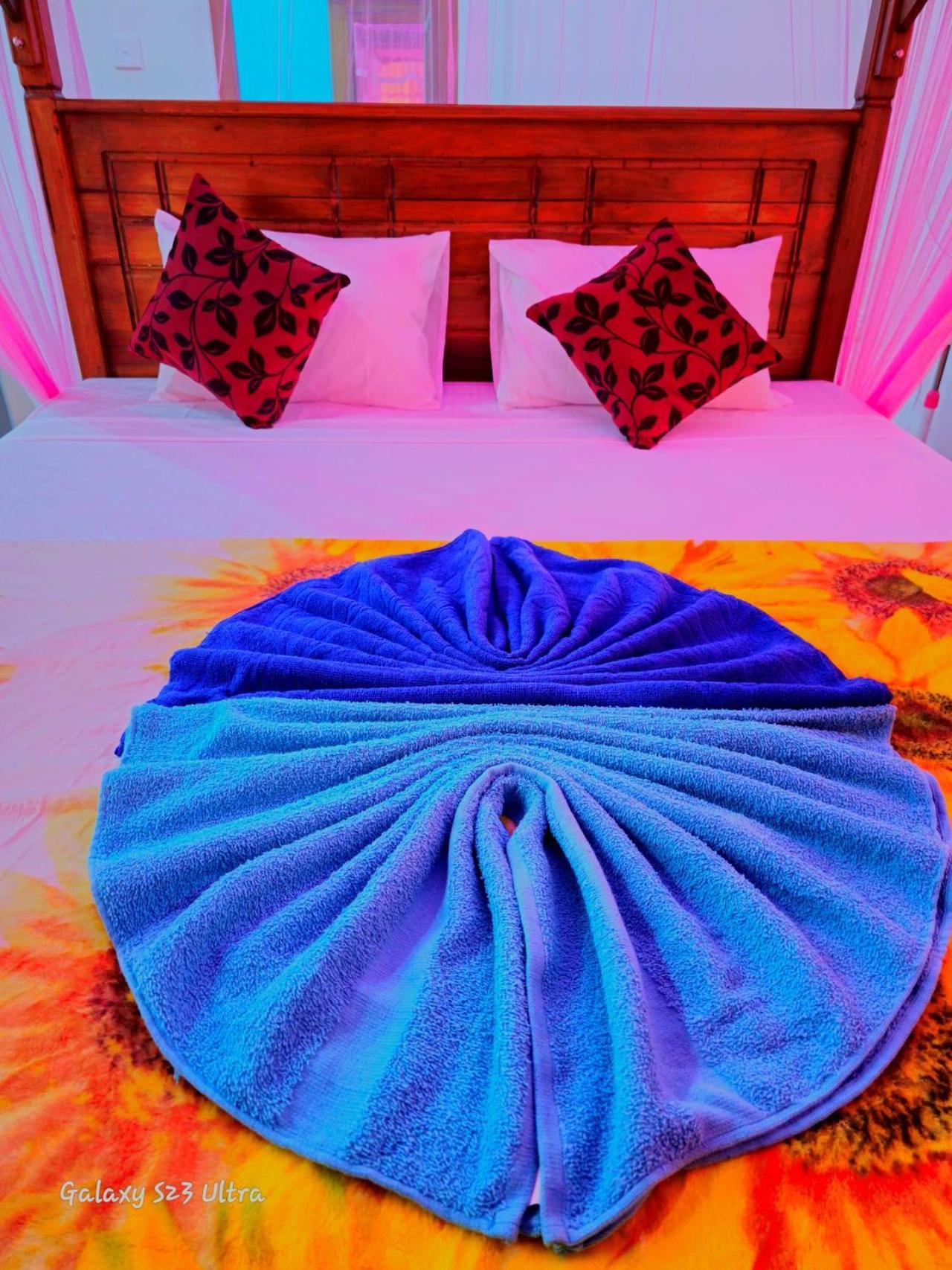 אלה Mountain Range Cottage מראה חיצוני תמונה