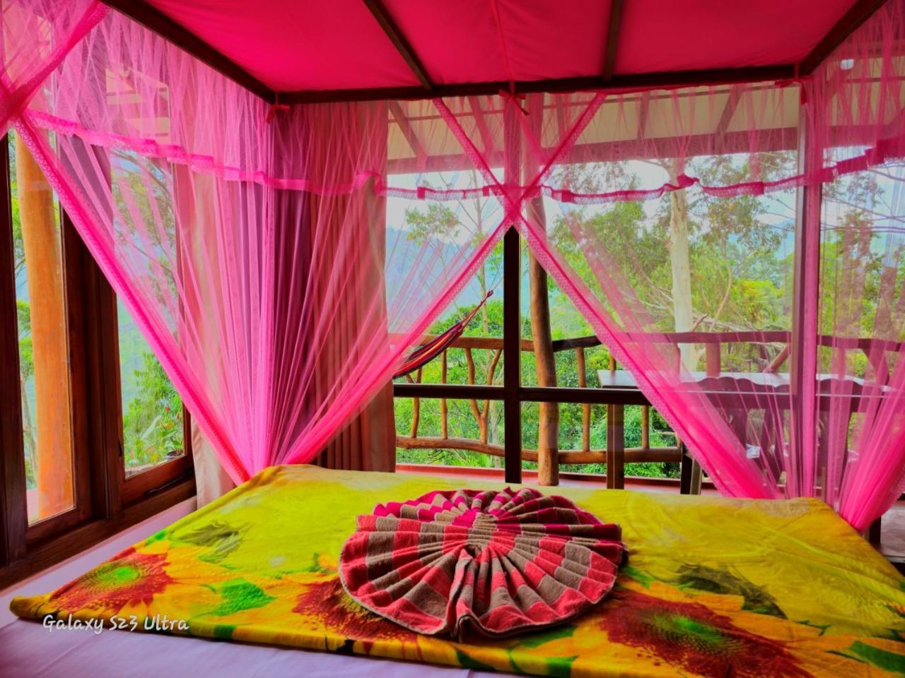אלה Mountain Range Cottage מראה חיצוני תמונה